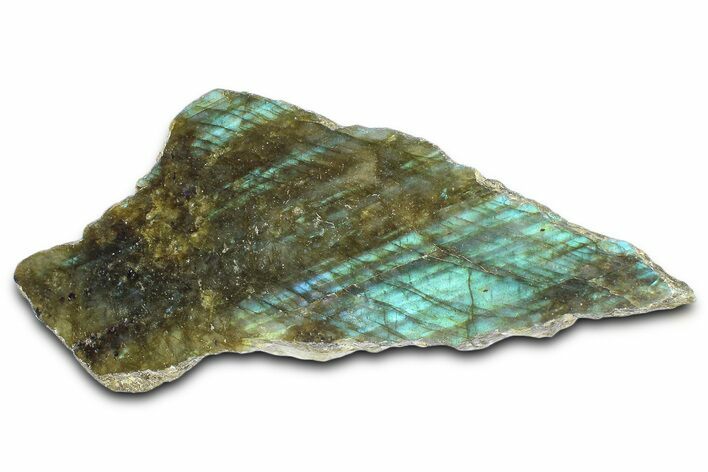 Single Side Polished Labradorite Slice - Madagascar #364303